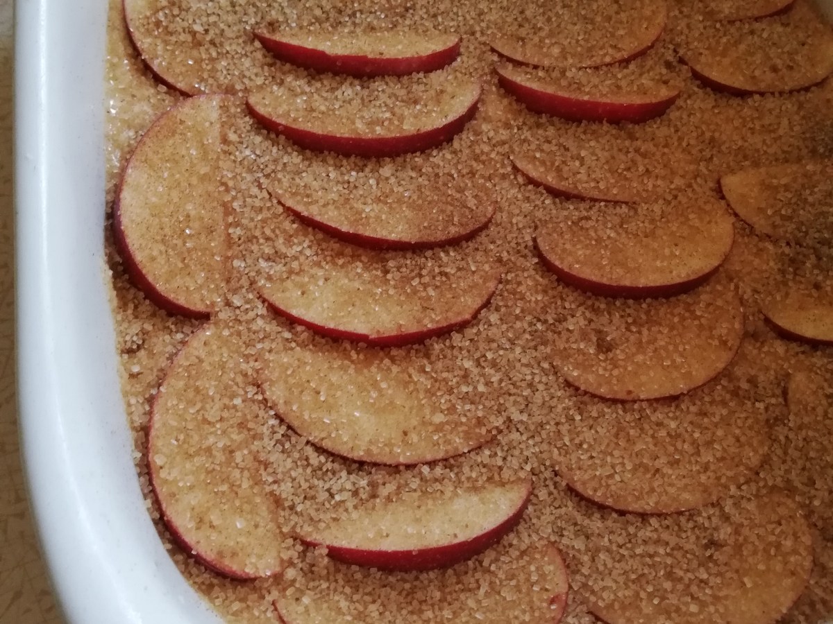 Tasty Christmas holiday meals